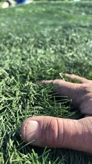 Venta Césped artificial reciclado