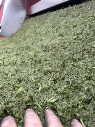 Venta Césped artificial reciclado