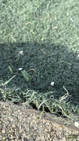 Venta Césped artificial reciclado