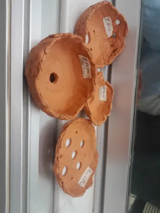 Macetas Bonsái Terracota