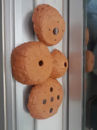 Macetas Bonsái Terracota