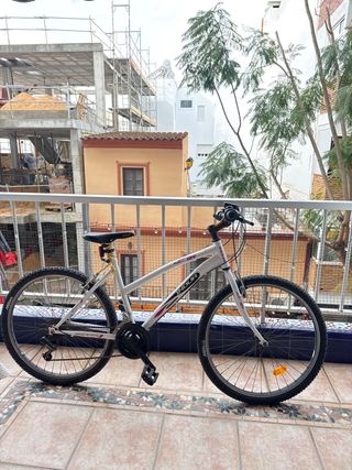 Bicicleta INDUR 18V