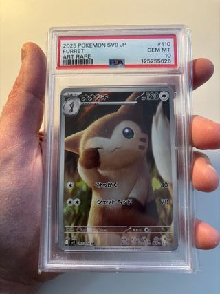Carta Pokemon PSA 10 - Furret - sv9 110 AR - Jap