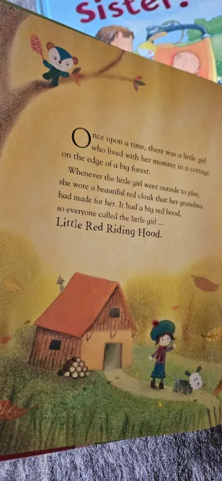 Lote de libros en inglés