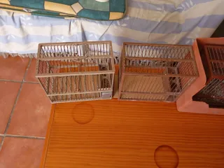 4 Jaulas para pájaros. Y tengo jielgeo☎️610.942109