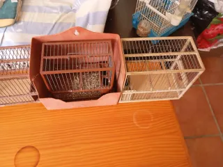 4 Jaulas para pájaros. Y tengo jielgeo☎️610.942109