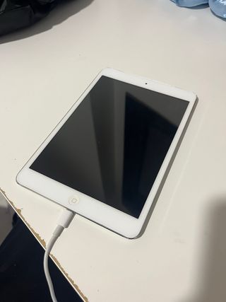 iPad Mini Blanco