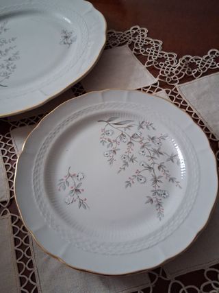 Servizio Piatti Tognana Porcellana Oro-Bianco