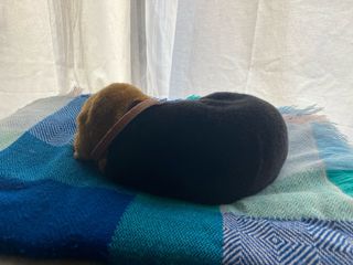 Perro realista Perfect Petzzz