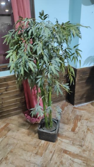 Plantas Artificiales Decorativas