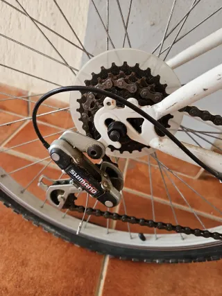 Bicicleta Mujer Ciudad