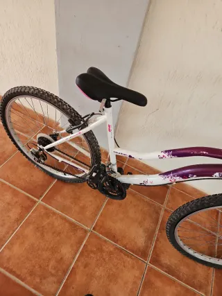 Bicicleta Mujer Ciudad