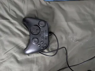 Mando Nintendo Switch Pro