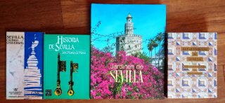 SE VENDEN LIBROS DVDS SEVILLA. HAGO ENVÍOS.