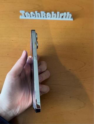 iPhone 14 Pro Max 100% Salute Batteria!