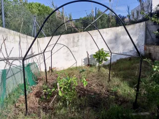 Invernadero túnel verde