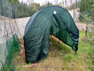 Invernadero túnel verde