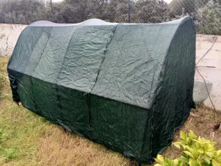 Invernadero túnel verde