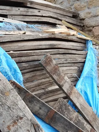 Roble viejo de tonel