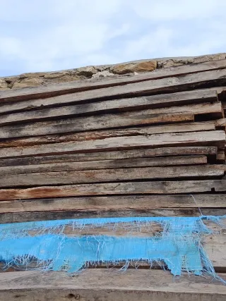 Roble viejo de tonel