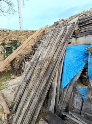 Roble viejo de tonel