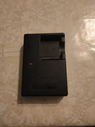Caricabatterie Olympus per fotocamera (senza cavo)
