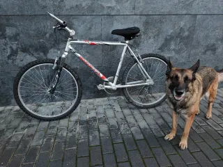 Bicicleta Orbita Aluminio MTB