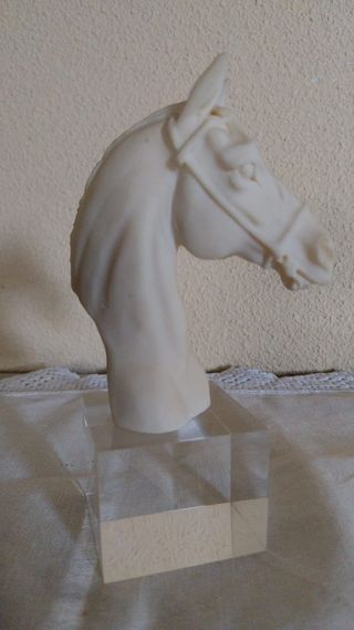 Figura de Cabeza de Caballo- peana de metacrilato