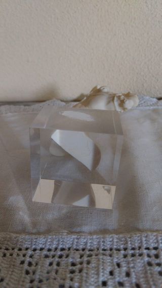 Figura de Cabeza de Caballo- peana de metacrilato