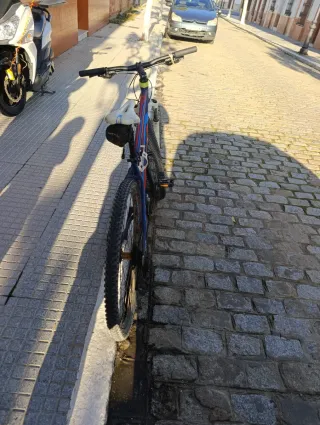 Bicicleta Berg 29 Azul