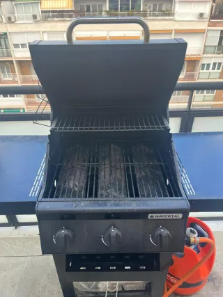 Barbacoa de gas negra y plateada