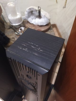 Altavoces Rega ELA Negros