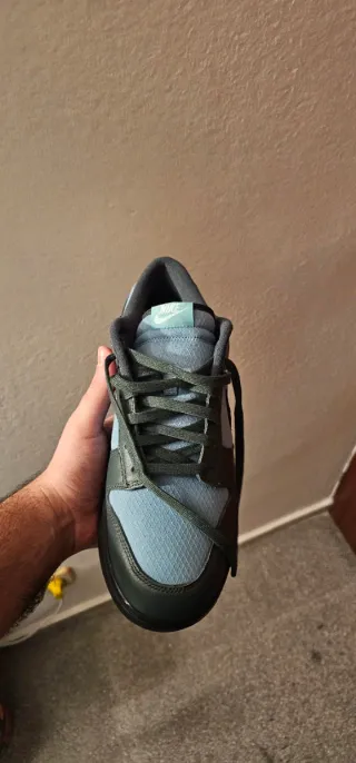 Nike Dunk Azul y Verde