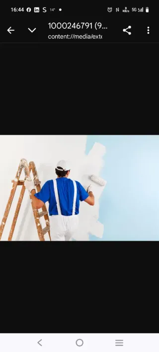 Pintor Pedro - Pintura General y Precios Económico