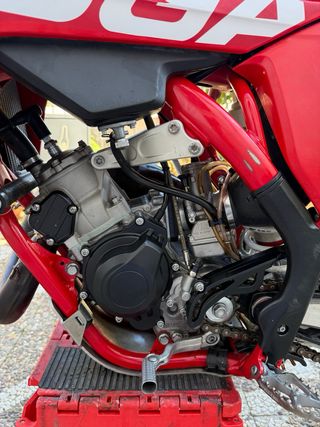 Gas Gas MC 125 Cross