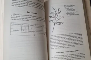 Manual de plantas medicinales centro Chopra / H...