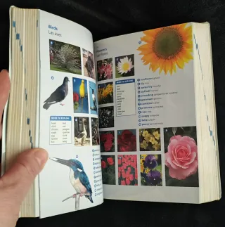 Diccionario Oxford Pocket para estudiantes de i...