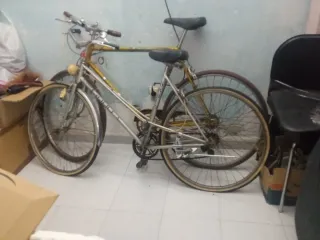 Bicicleta Orbea Dama