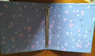 Raccoglitore Winnie the Pooh Disney