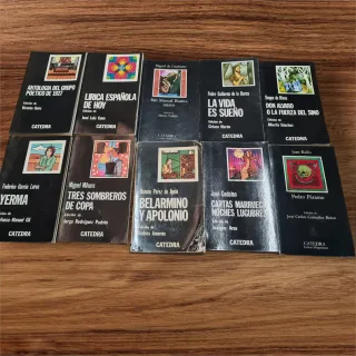 Lote de 10 libros Cátedra