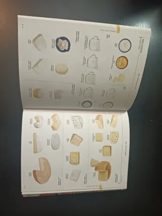 Diccionario Collins Ilustrado