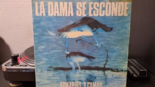 Vinilo La Dama Se Esconde