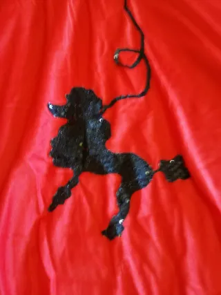 Disfraz Rock and Roll 50s.  Talla P