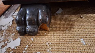 Arcón antiguo de madera tallada