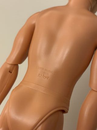 ken barbie fashionistas bambola Mattel 2011 rara