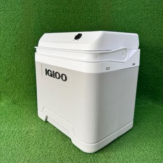 Nevera eléctrica Igloo IE24 AC/DC