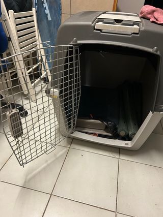 Transportín perro gris y blanco