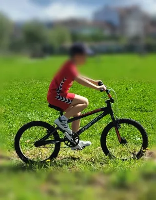 Bicicleta Monty niño