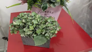 2 centros de mesa plantas artificiales