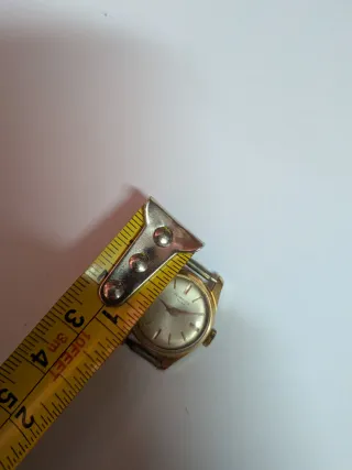 Orologio Plymouth Meccanico Vintage 17 Rubis